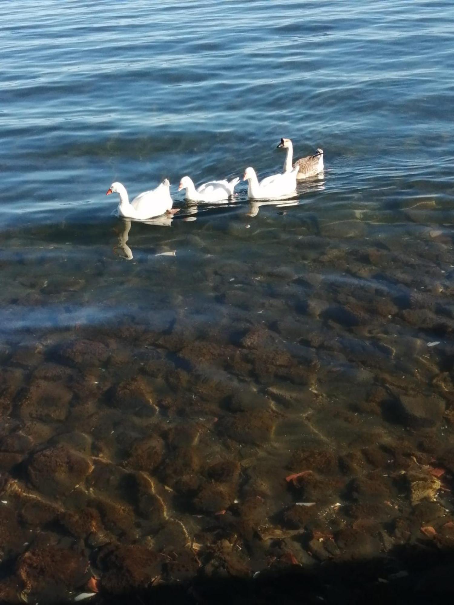 Mansarda Sul Lago A مارتا المظهر الخارجي الصورة