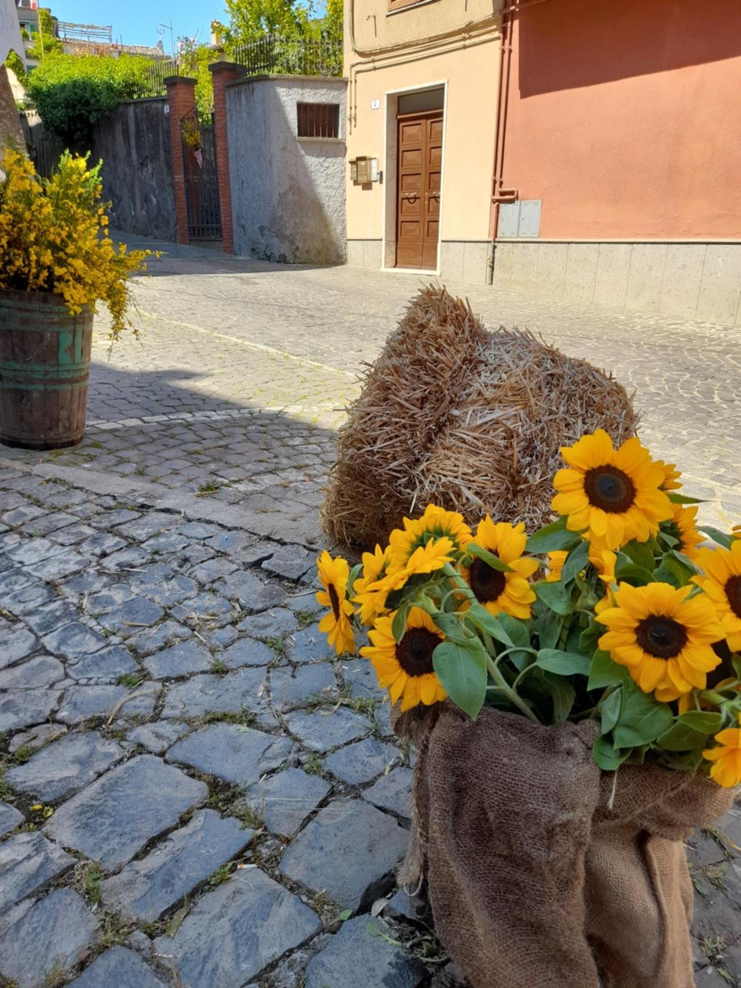 Mansarda Sul Lago A مارتا المظهر الخارجي الصورة